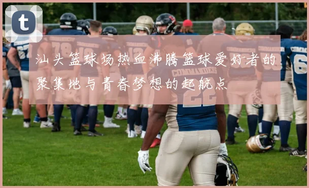 汕头篮球场热血沸腾篮球爱好者的聚集地与青春梦想的起航点