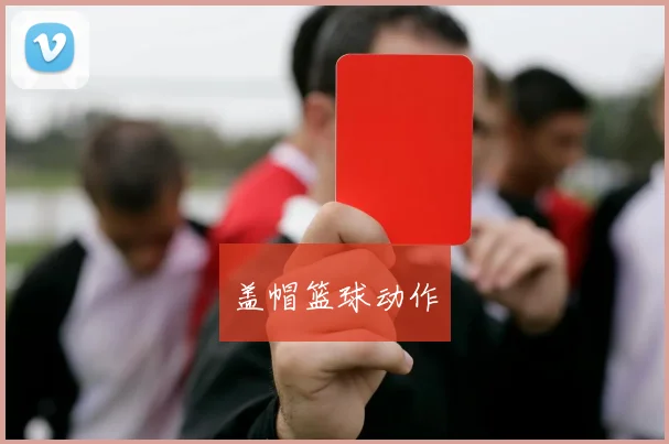 盖帽篮球动作