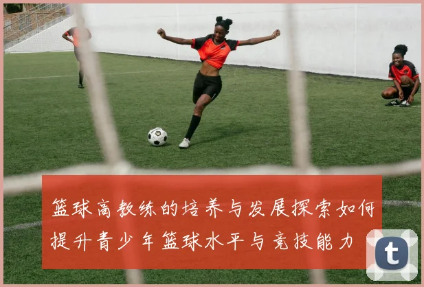 篮球高教练的培养与发展探索如何提升青少年篮球水平与竞技能力