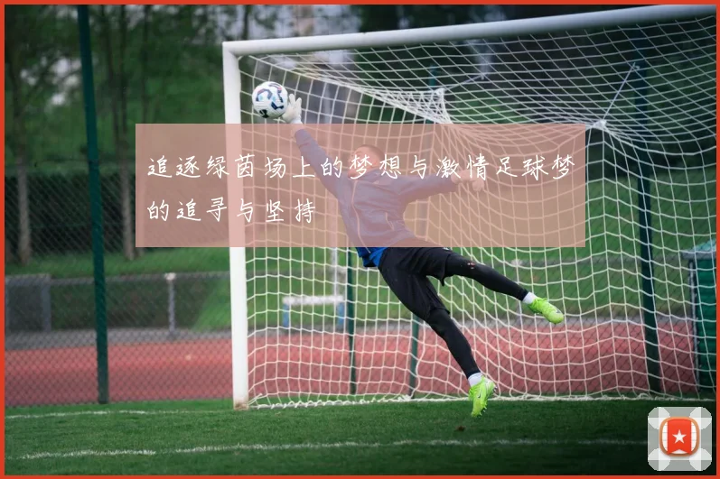 追逐绿茵场上的梦想与激情足球梦的追寻与坚持